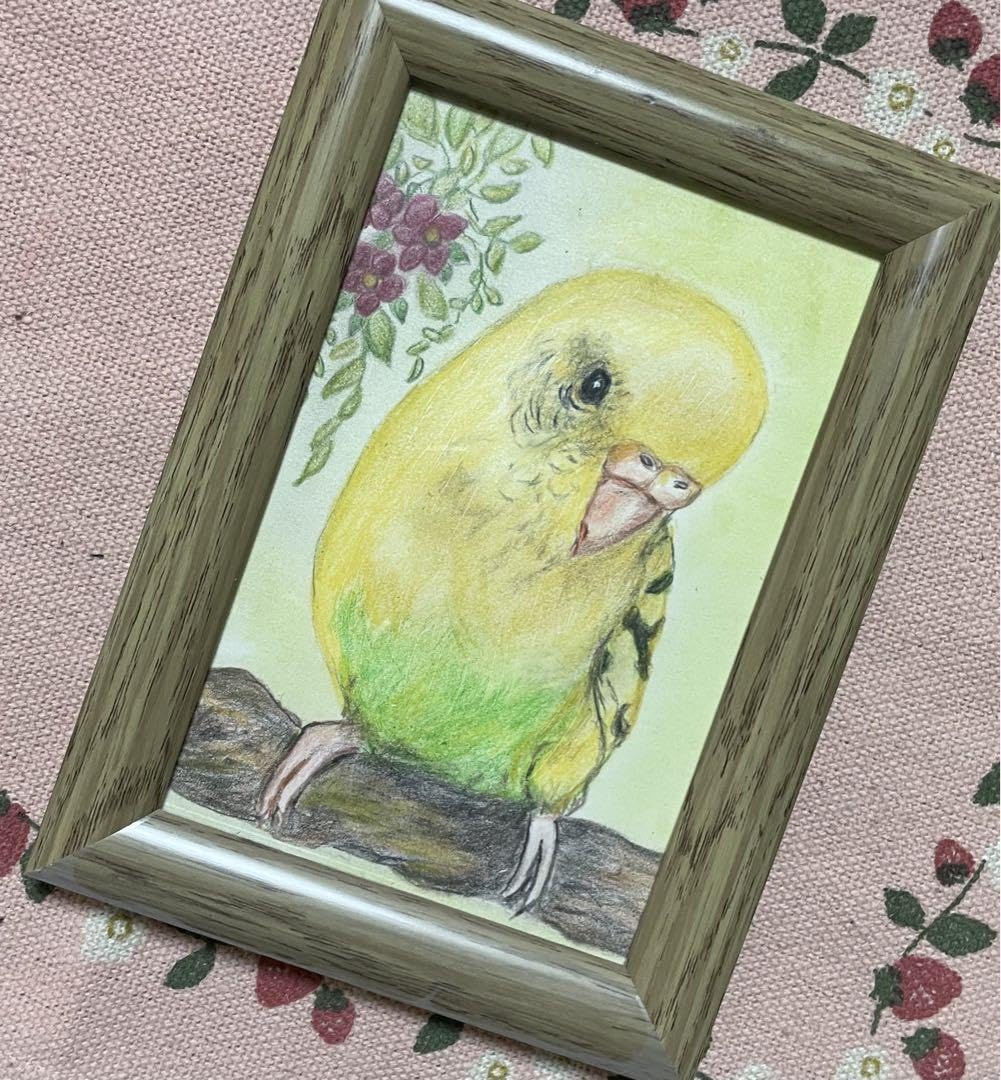Amazon.co.jp: 色鉛筆画 リアル可愛いセキセイインコ色鉛筆画 原画
