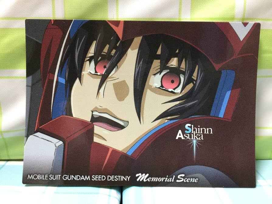 Amazon.co.jp: カードダスマスターズ 機動戦士 SEED DESTINY シン