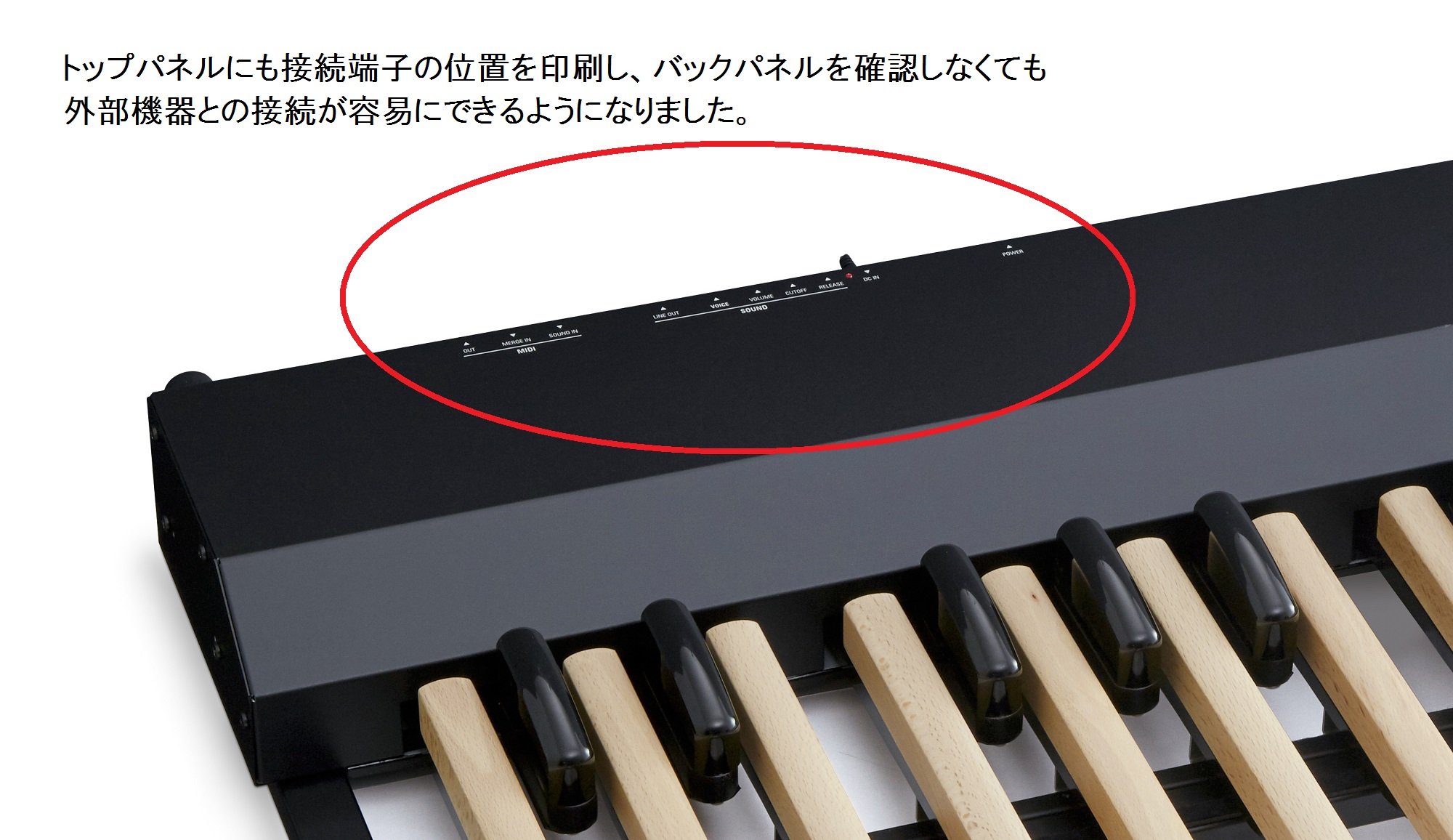 Amazon.co.jp: HAMMOND ハモンド MIDIペダルボード XPK-200GL : 楽器