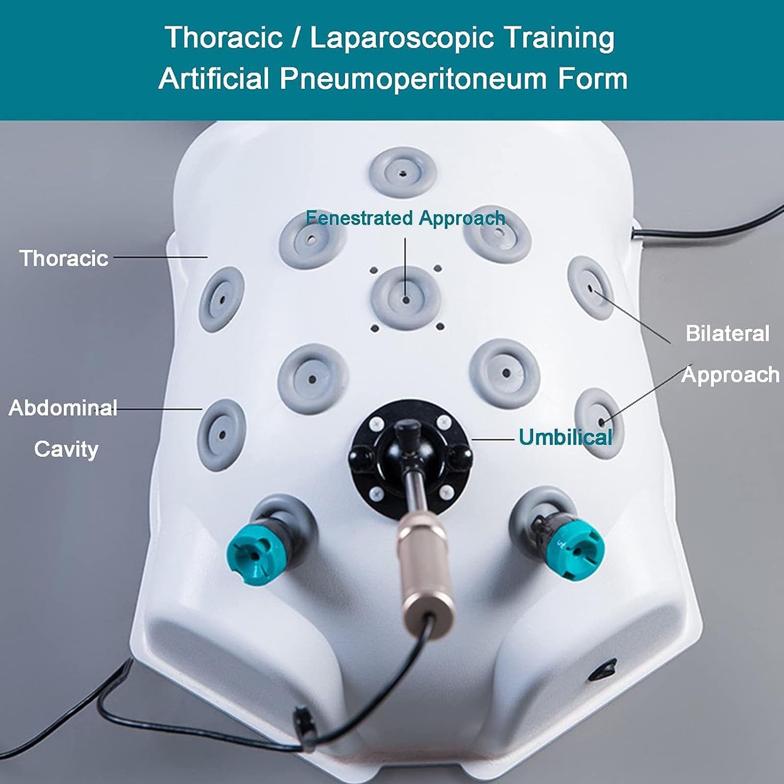 Amazon.co.jp: 腹腔鏡手術訓練 縫合練習キット腹腔鏡トレーナー
