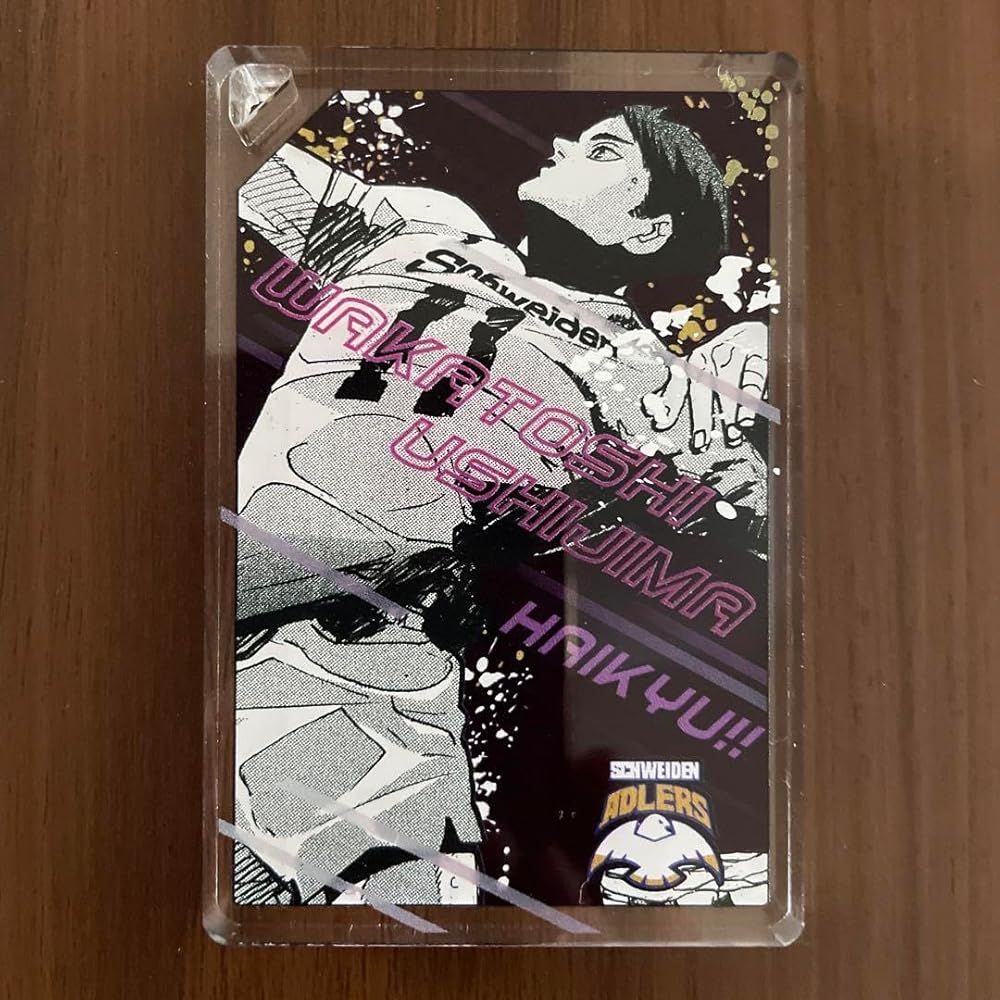 Amazon.co.jp: ハイキュー 及川徹の全員倒す ドミノ風アクリル