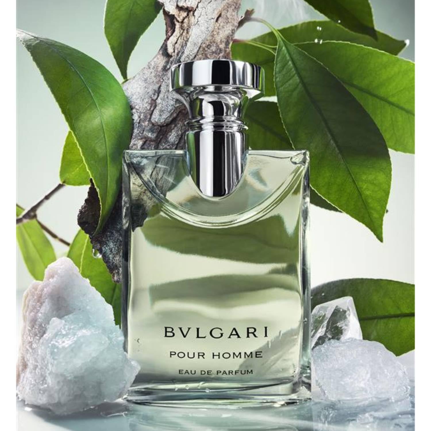 Amazon.com : Bvlgari Pour Homme by Bvlgari for Men - 3.4 oz EDP