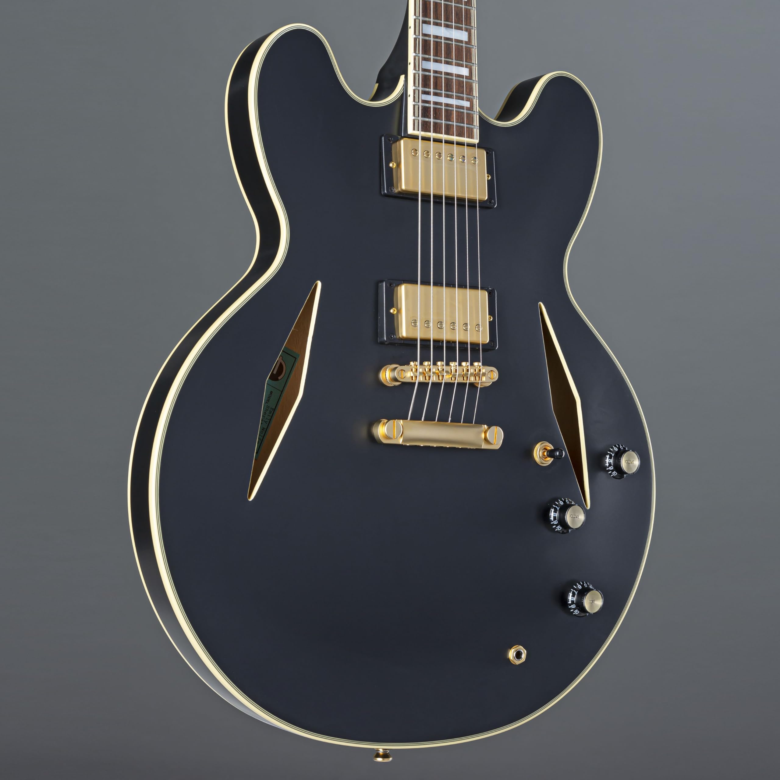 Amazon.com: Epiphone Emily Wolfe Sheraton Stealth Black Aged Gloss
