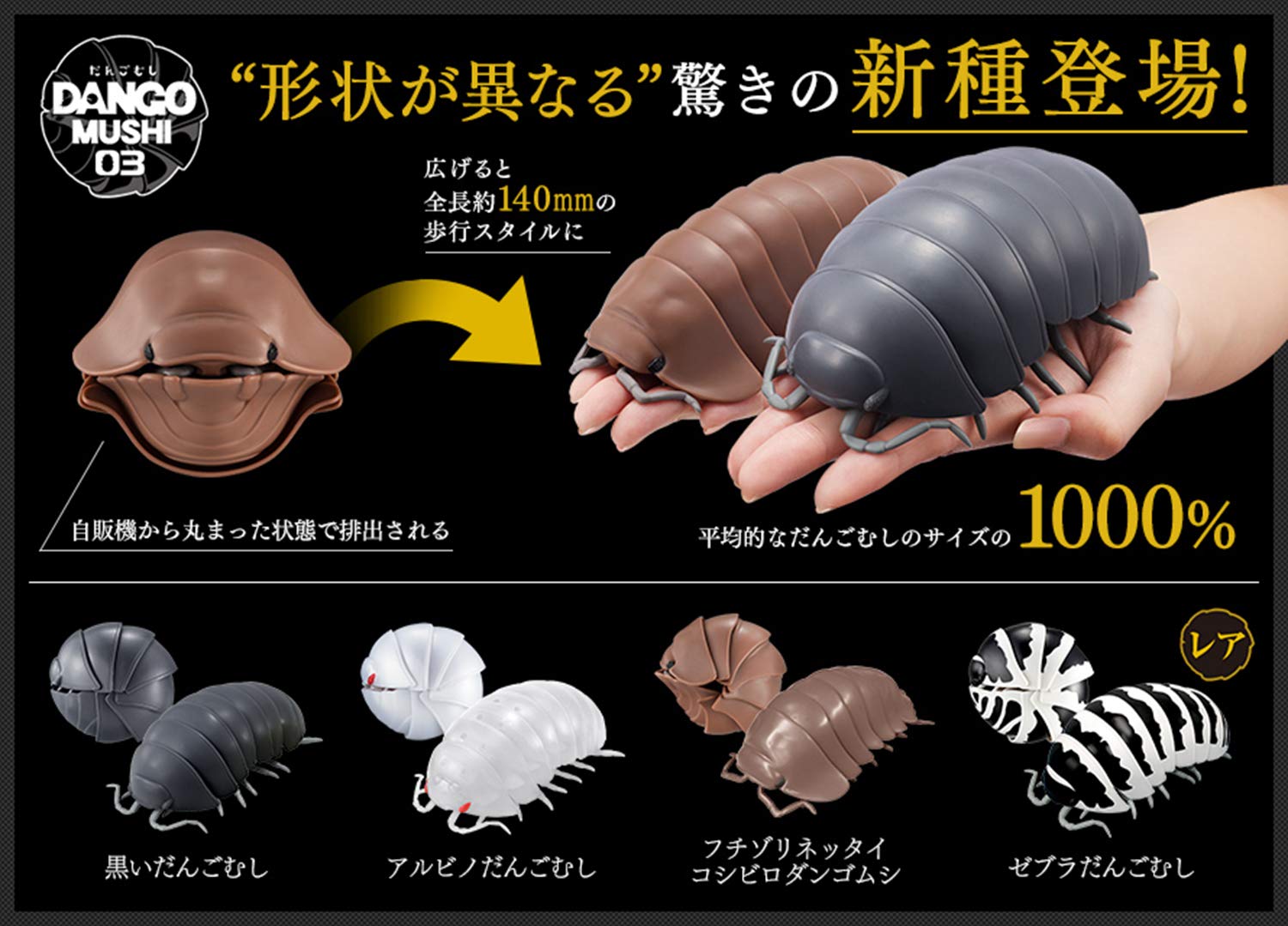 Amazon | だんごむし03 フチゾリネッタイコシビロダンゴムシ編 全4種