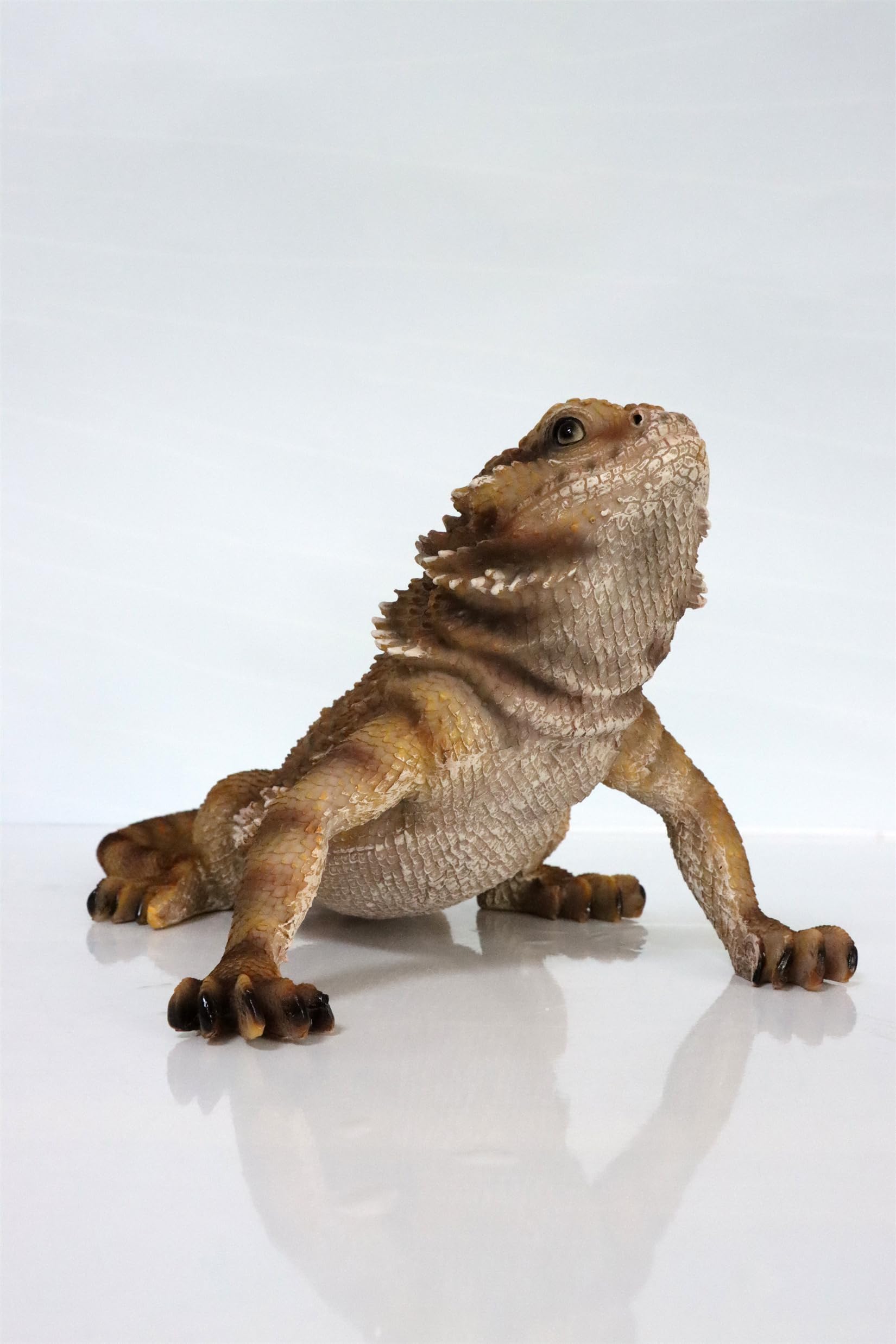 Amazon.co.jp: BACALYSO | 1/1 サイズ フトアゴヒゲトカゲ 36cm級