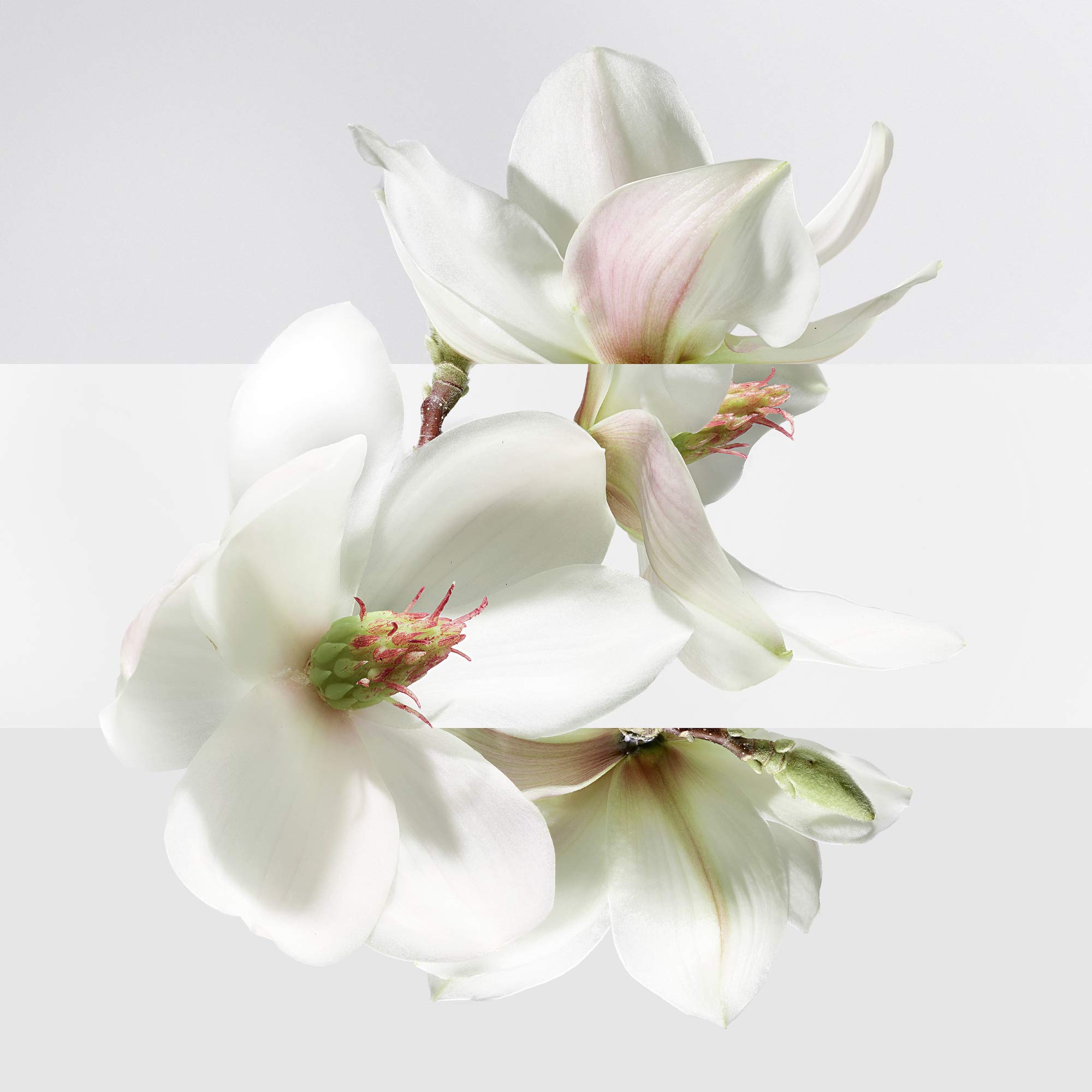 Amazon | エルメス ラグーナの庭 EDT SP 100ml [並行輸入品] | HERMES