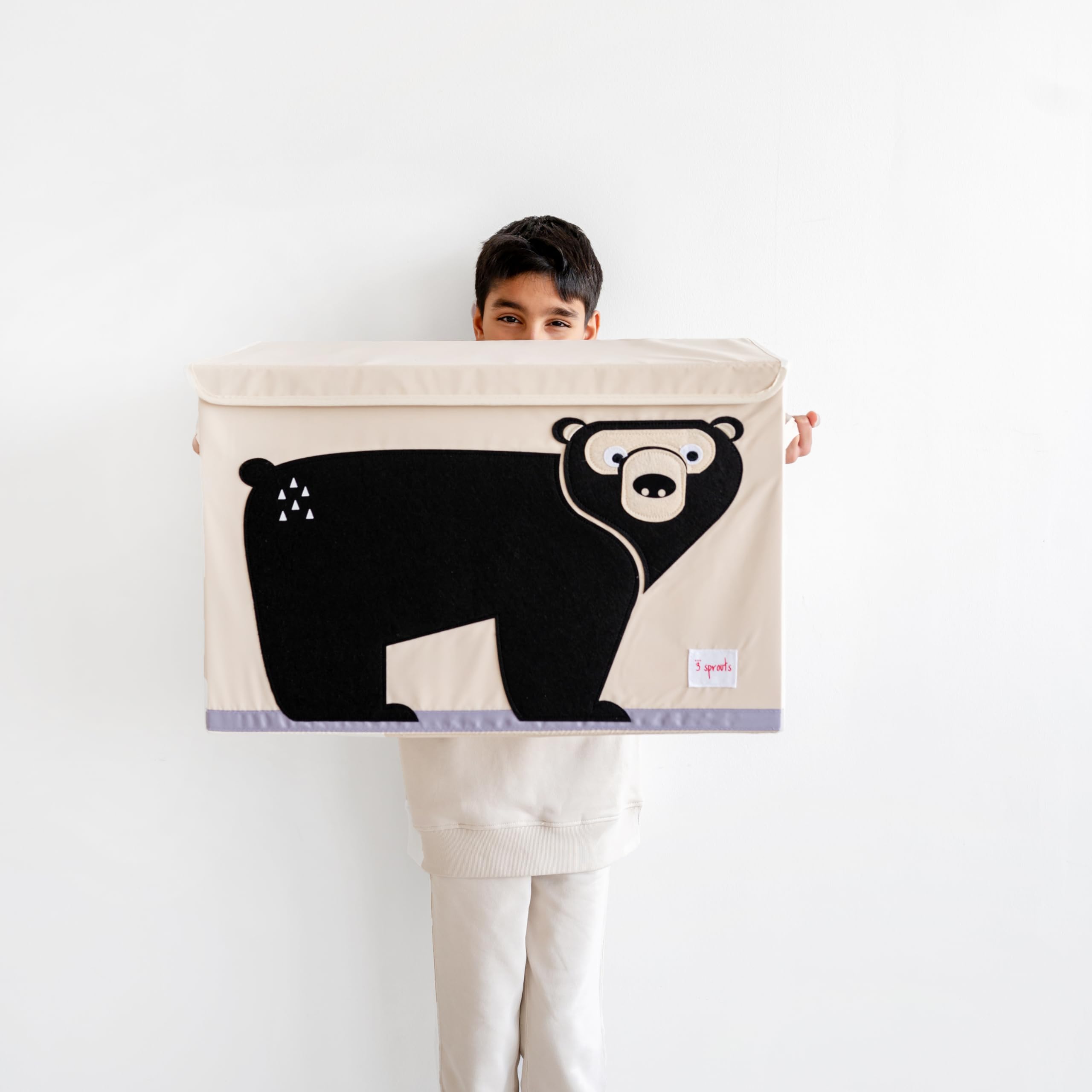 Amazon.com: 3 Sprouts Large Toy Chest for Kids with Lid and