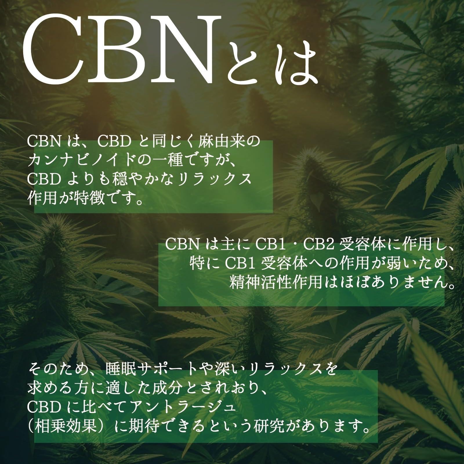Amazon.co.jp: 道産子大麻 CBN ハーブ極 5g 2000mg 配合 道産子大麻