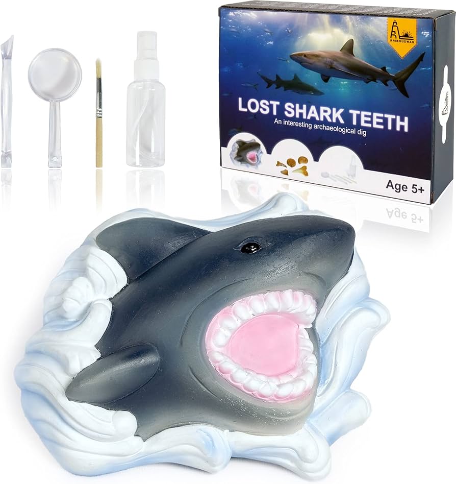 Amazon.com: RRIBOUDWAN Shark Tooth Dig Kit, Shark Tooth Excavation
