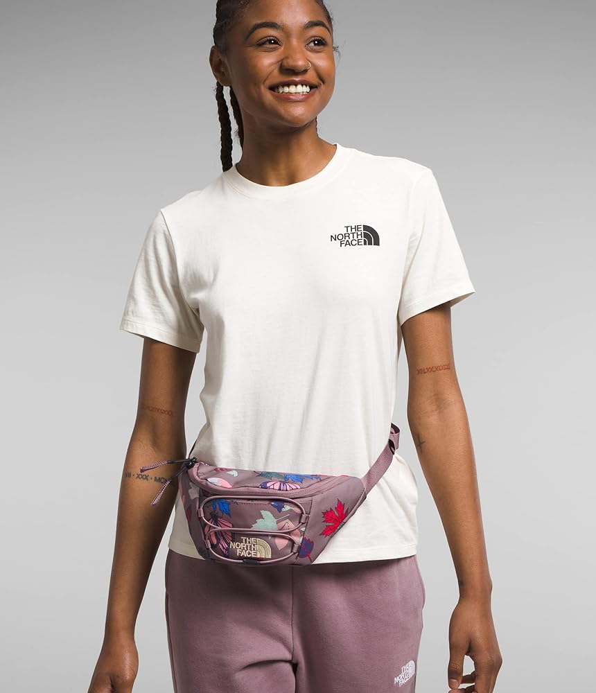 Amazon.com | THE NORTH FACE Jester Lumbar Pack, Fawn Grey Fall