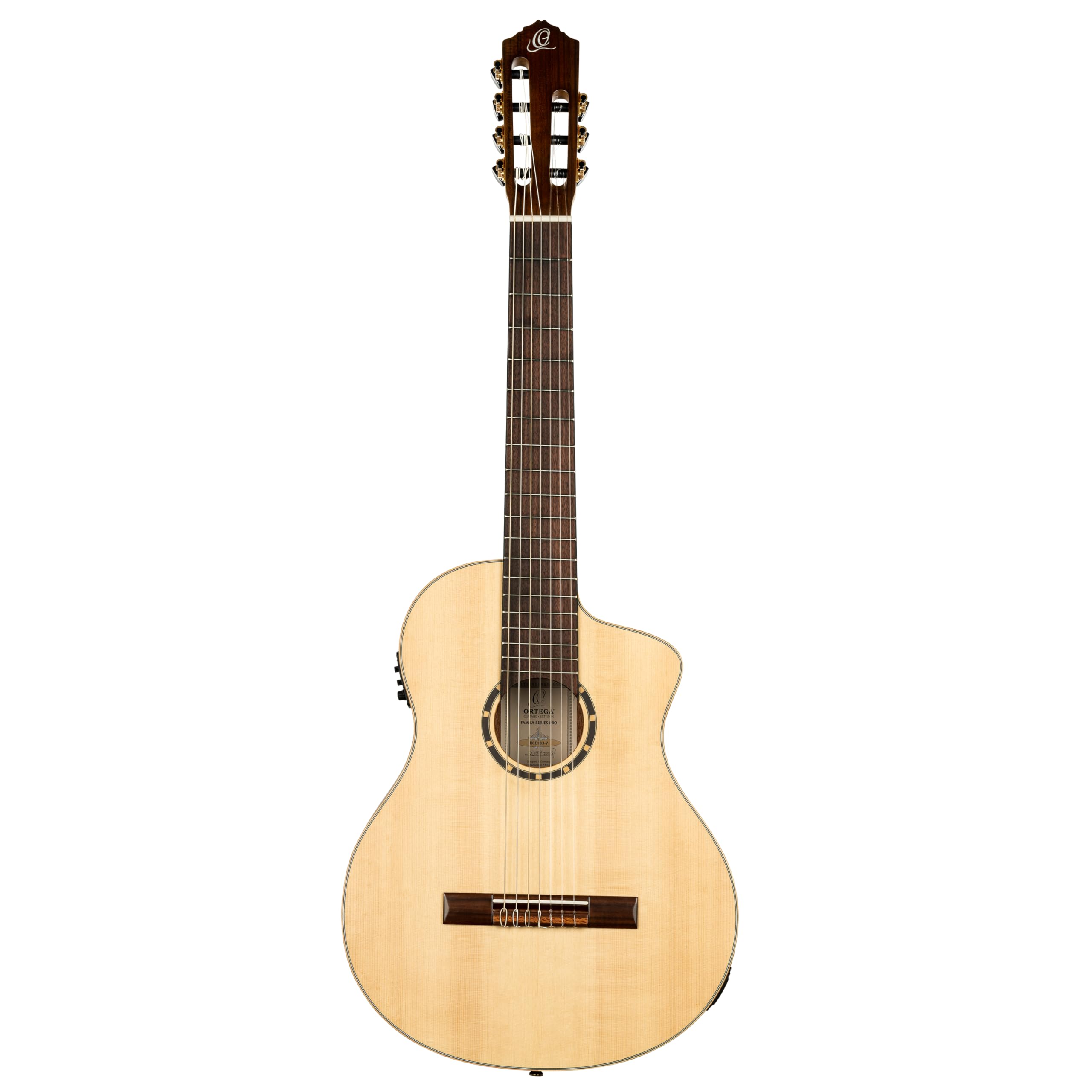Amazon.com: Family Series Pro 7-String Solid Top Acoustic-Electric