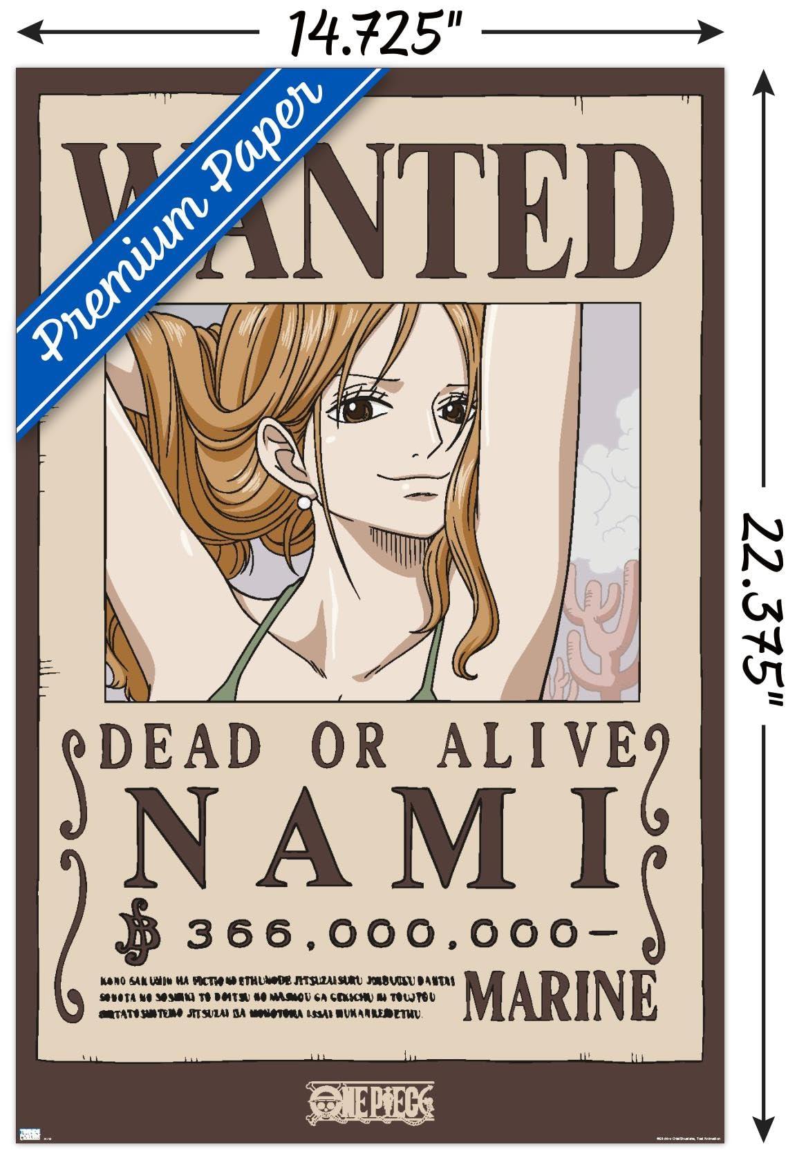 Amazon.com: One Piece - Nami Wanted Poster Wall Poster, 22.4L