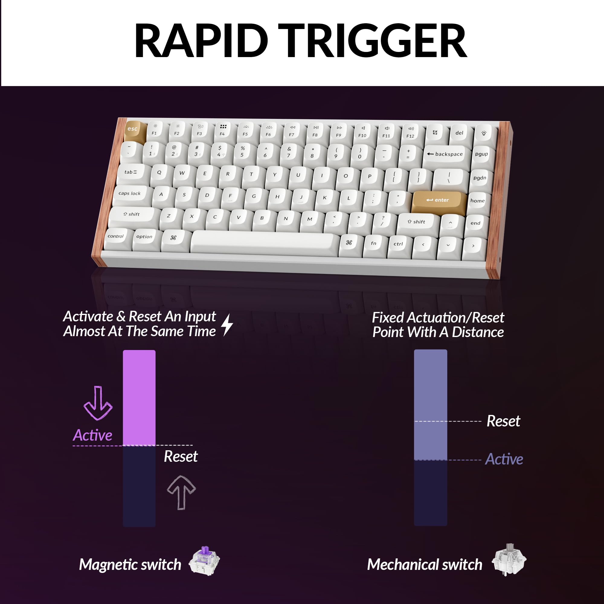 Amazon.com: Keychron K2 HE Rapid Trigger Wireless Custom Keyboard