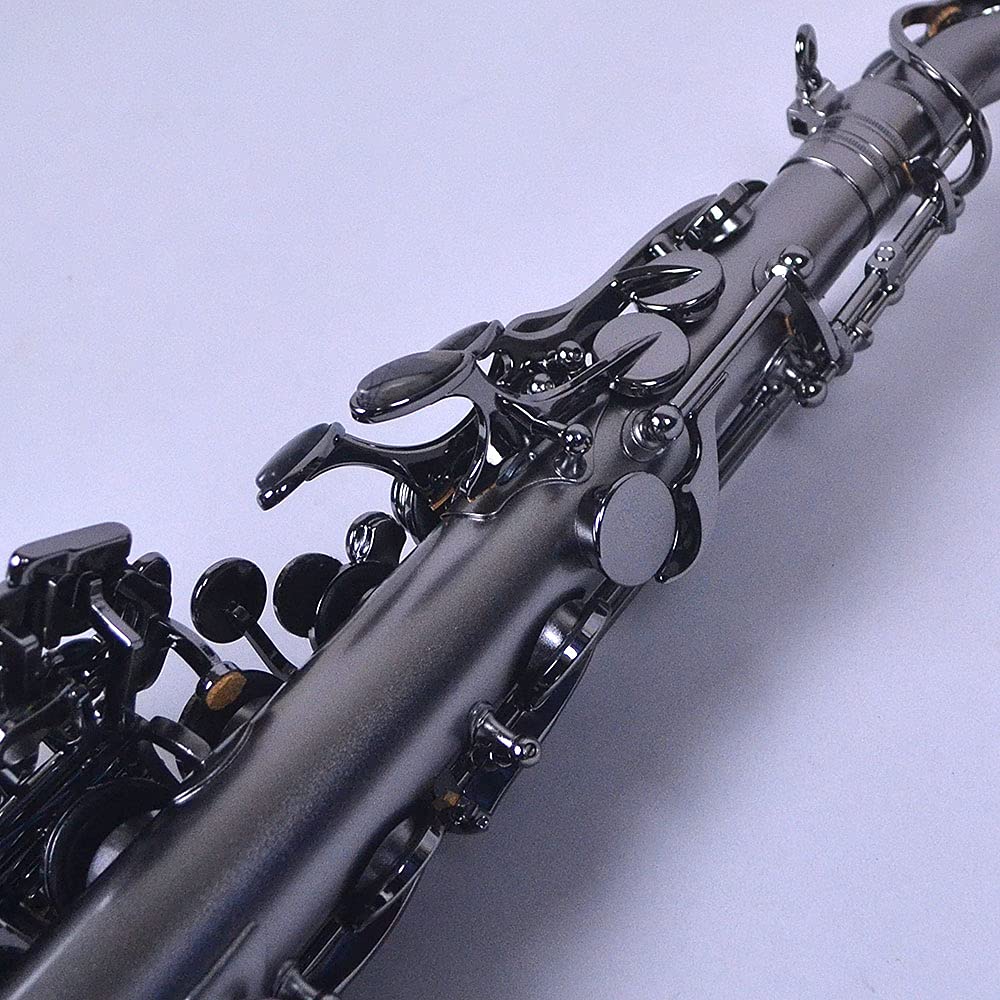 Amazon | Cannonball A5-BiceB Raven【アルトサックス】 キャノン