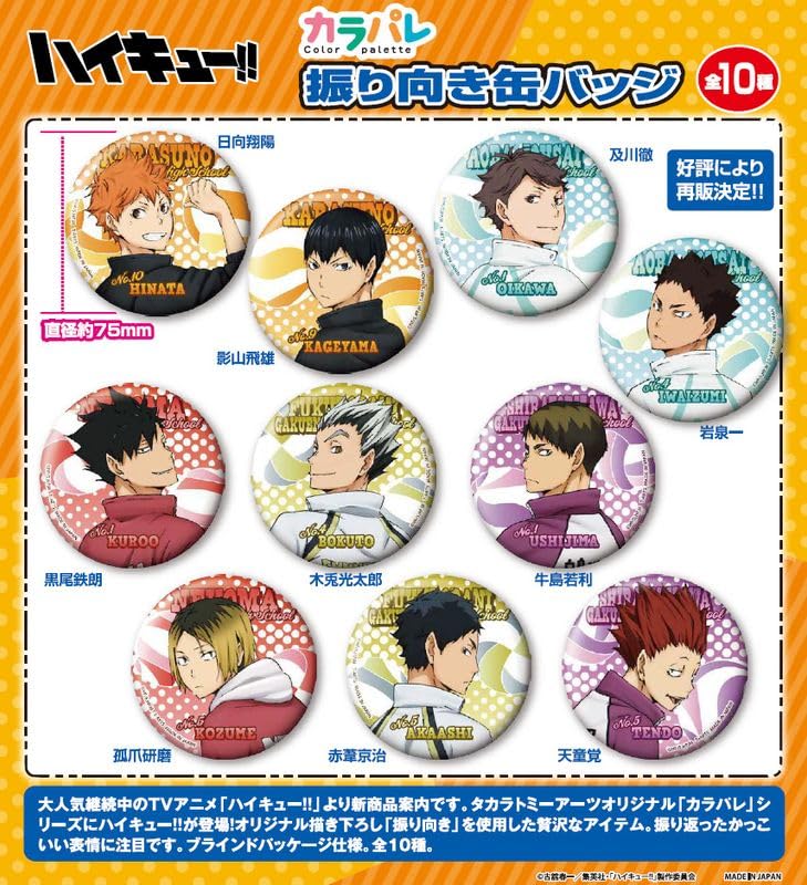 Amazon.co.jp: 【公式】ハイキュー!! カラパレ 振り向き 缶バッジ【BOX