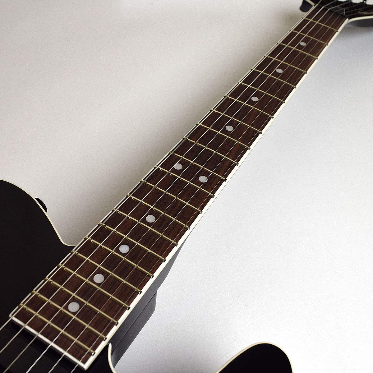 Amazon | FERNANDES TEJ-DELUXE 2S BLK エレキギター | エレキギター