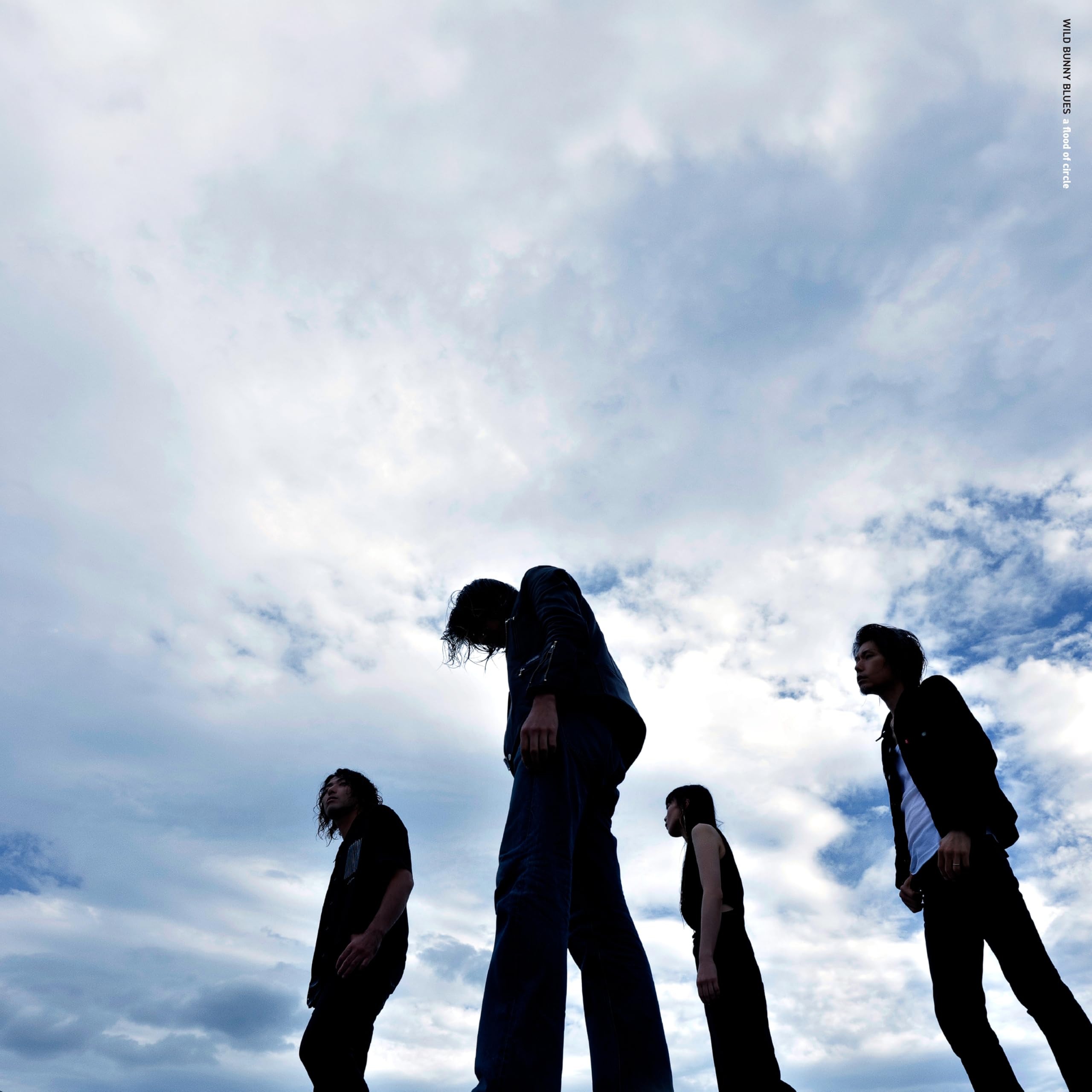 Amazon.co.jp: WILD BUNNY BLUES / 野うさぎのブルース - a flood of