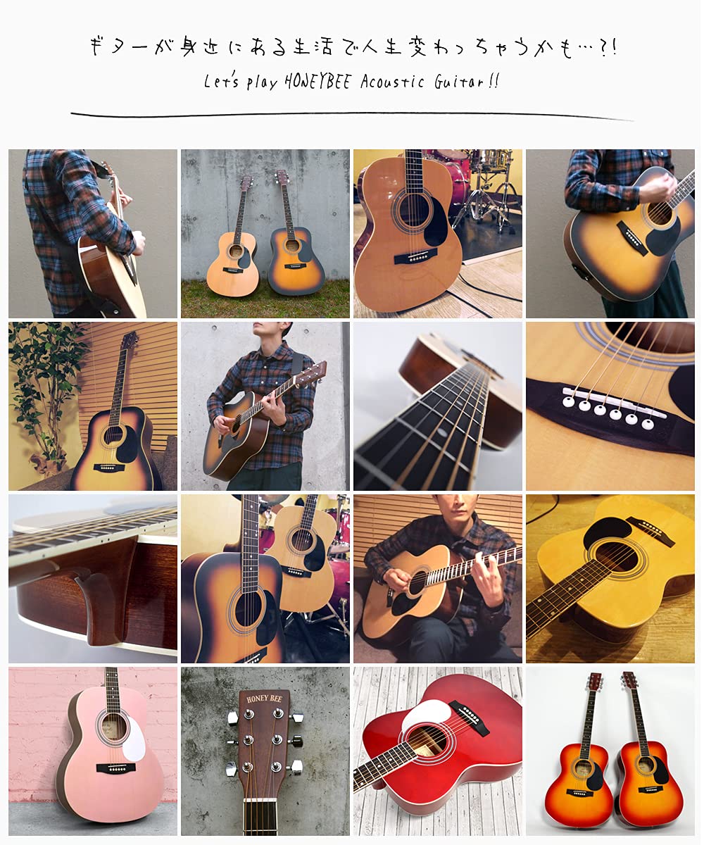 Amazon | HONEY BEE アコースティックギター F-15M/TS マット