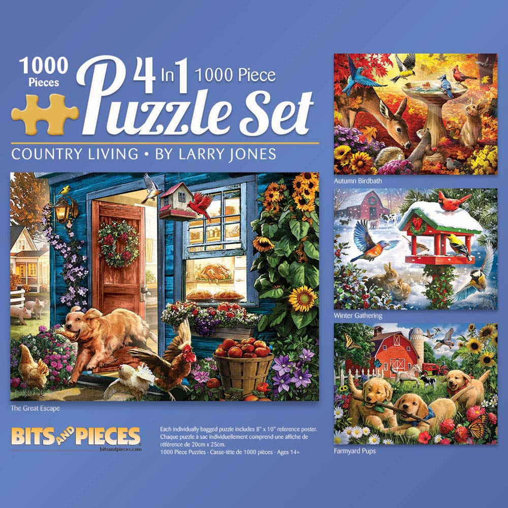 Amazon.com: Bits and Pieces – 4-in-1 Multi-Pack 1000 Piece Jigsaw