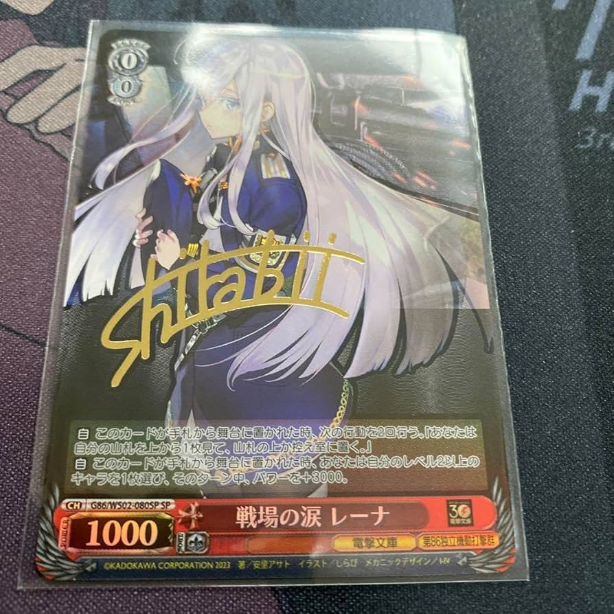 戦場の涙レーナヴァイスシュバルツSP 電撃文庫