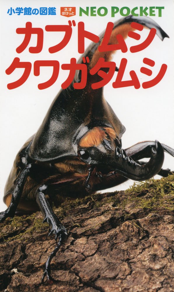 カブトムシ・クワガタムシ (小学館の図鑑ネオぽけっと 10) | 小池 啓一