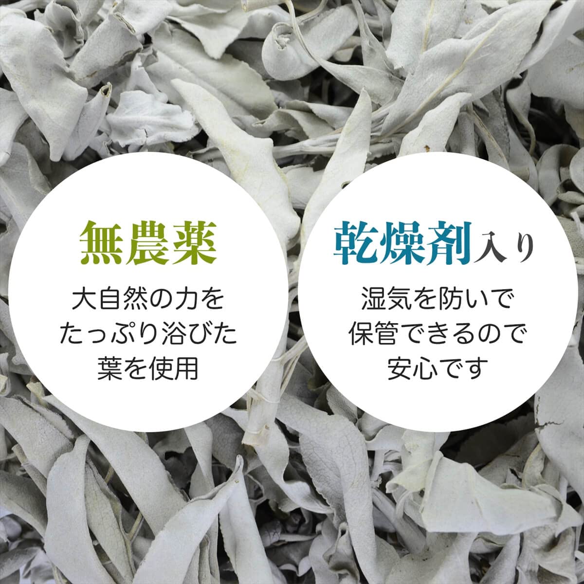 Amazon | 無農薬 ホワイトセージ 枝付き (クラスター) 約100g