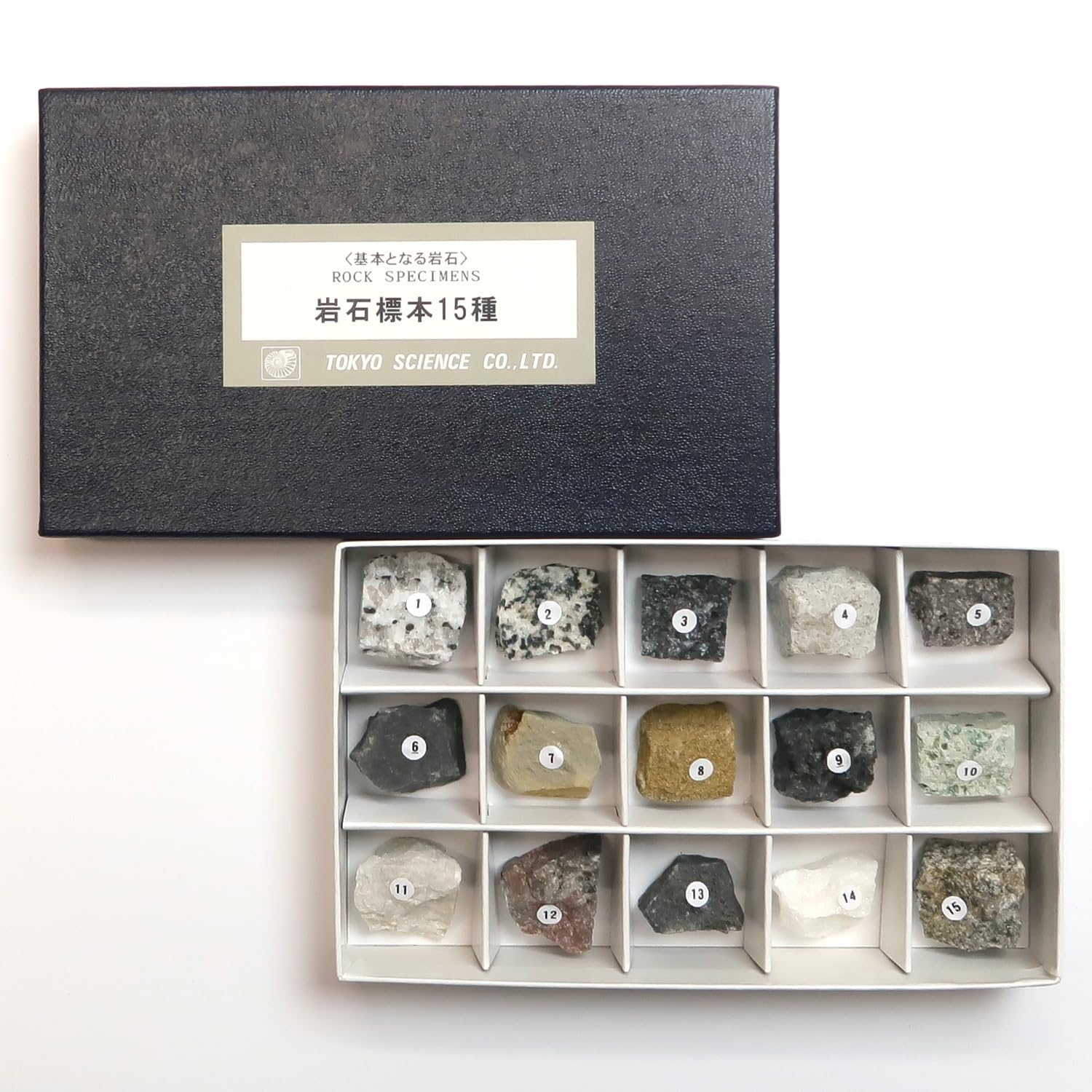 Amazon | SCIENCE「基本となる岩石 岩石標本 15種セット（火成岩