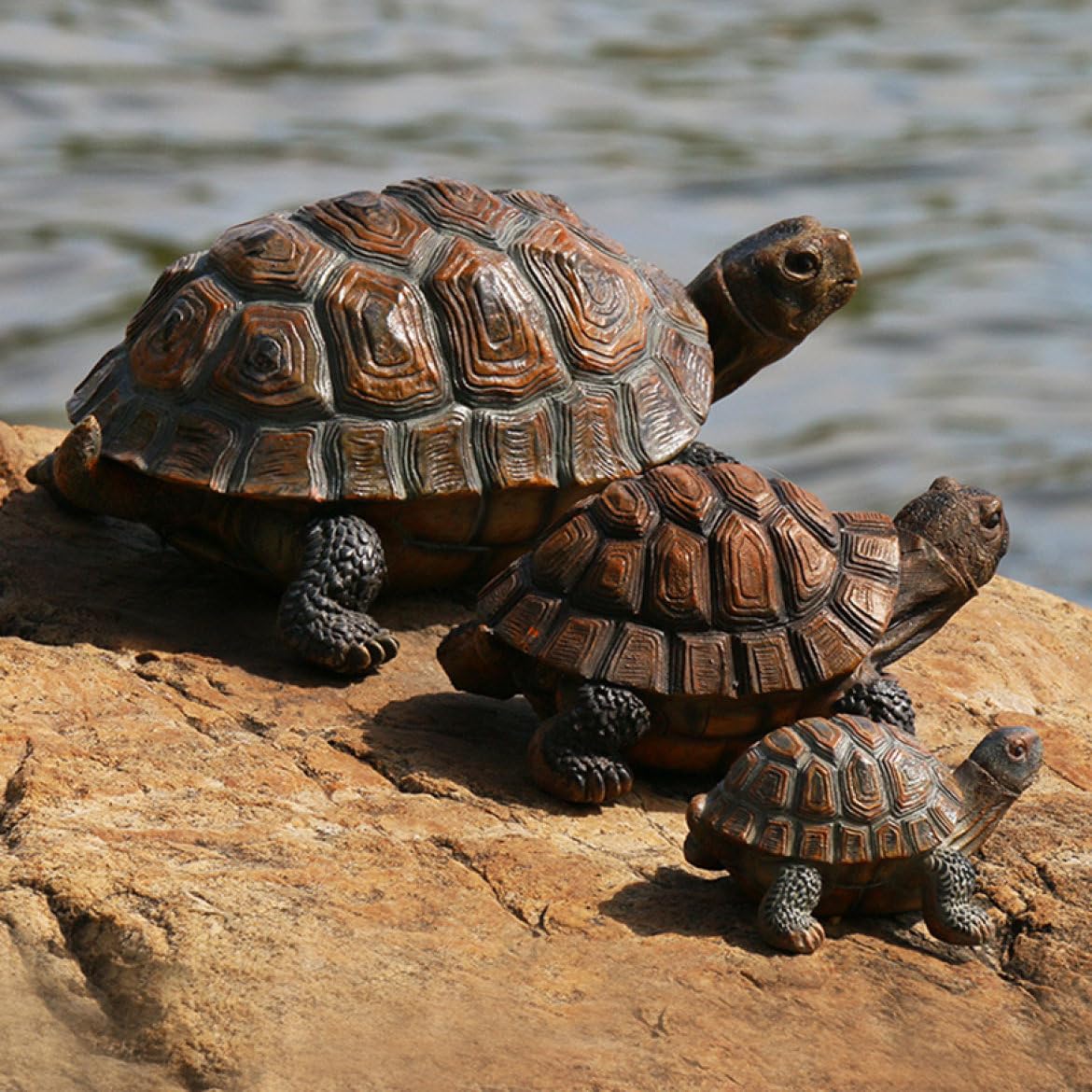 Amazon.co.jp: [dhiuebc] 海亀 置物 亀 縁起物 誕生日プレゼント