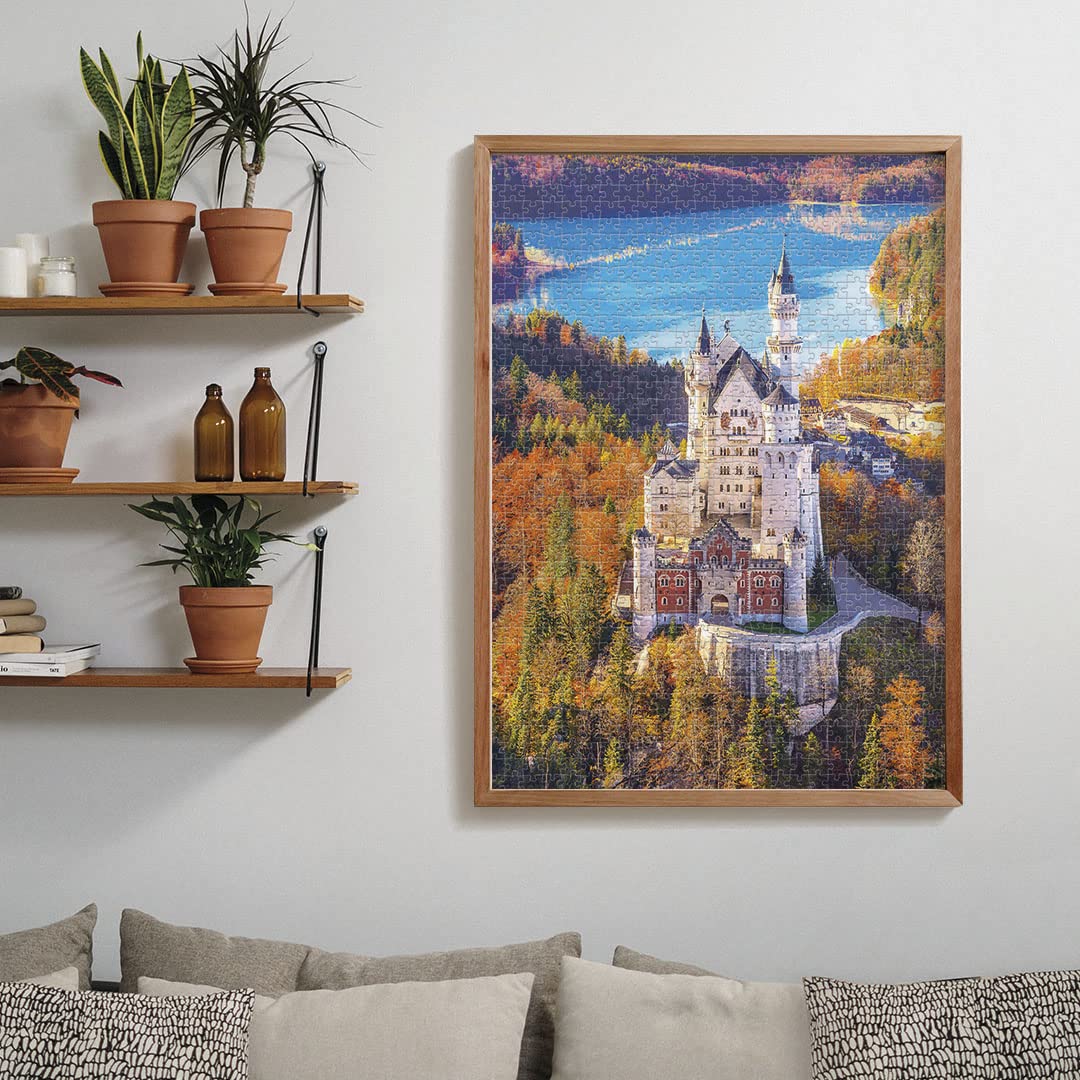 Amazon.co.jp: 1000ピース ジグソーパズル Clementoni ドイツ