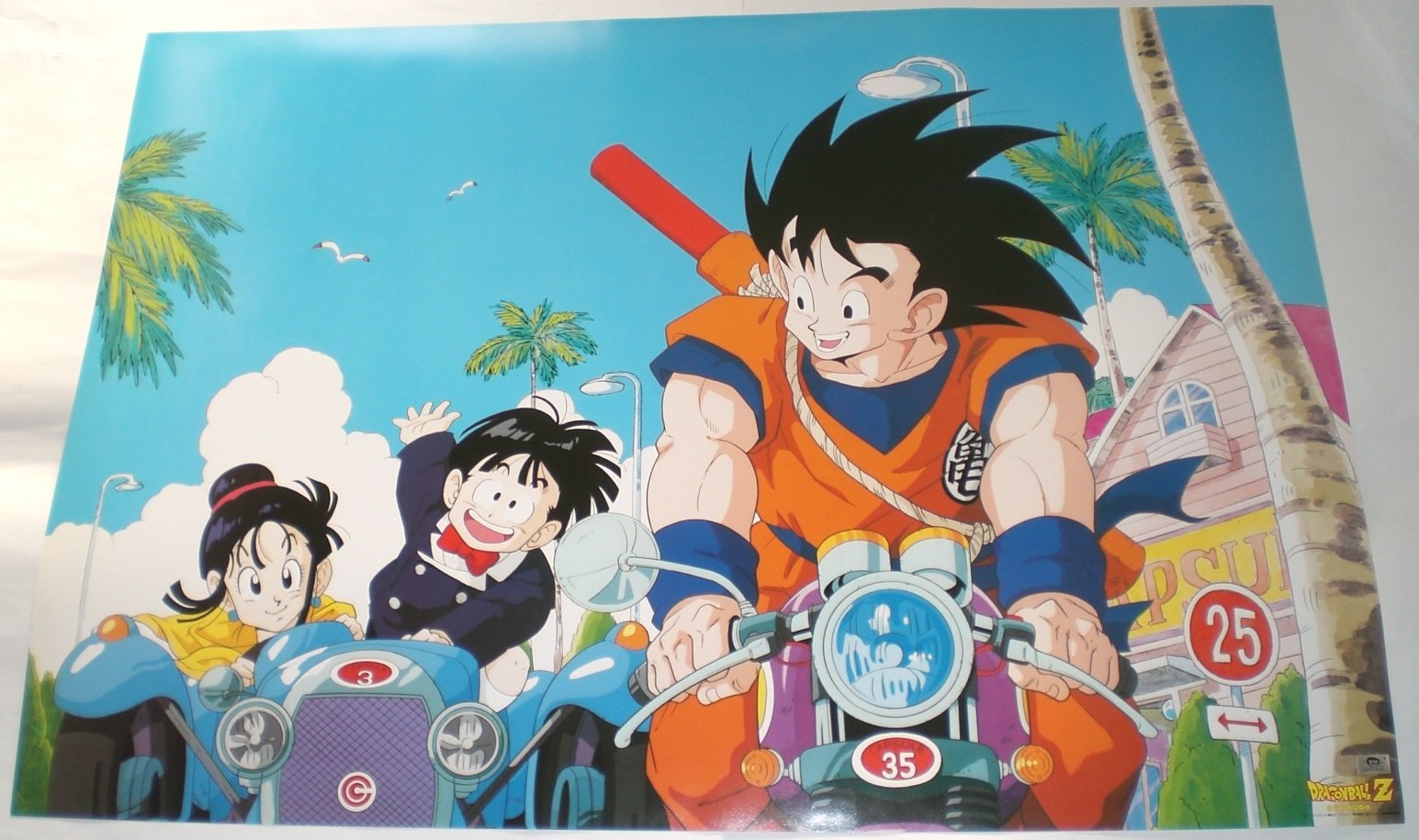 Amazon.co.jp: ドラゴンボールZ ポスター 51.5×73cm 悟空 悟飯 チチ