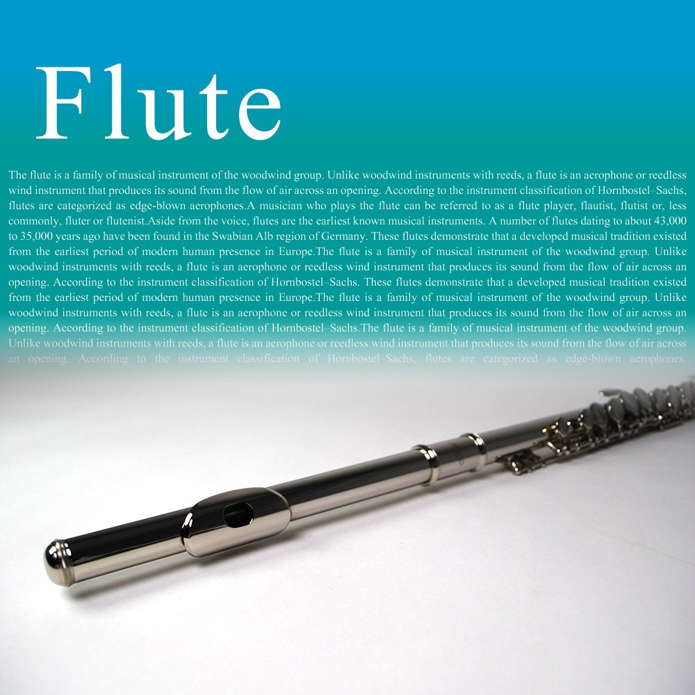 Amazon | Soleil ソレイユ フルート サクラ楽器オリジナル 初心者入門