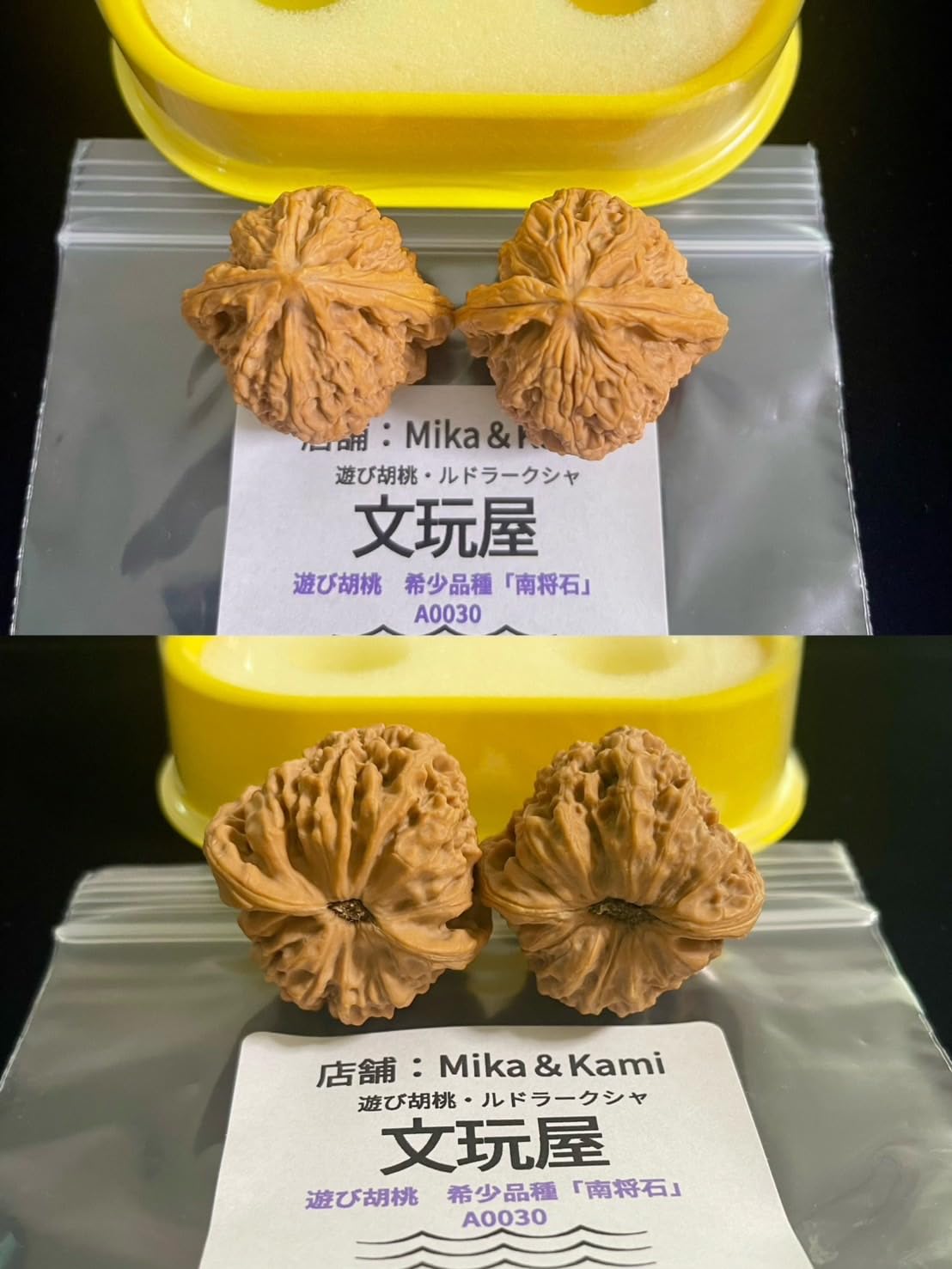 Amazon | 文玩屋 遊び胡桃 A0030 希少品種「南将石」「手で遊び育てる