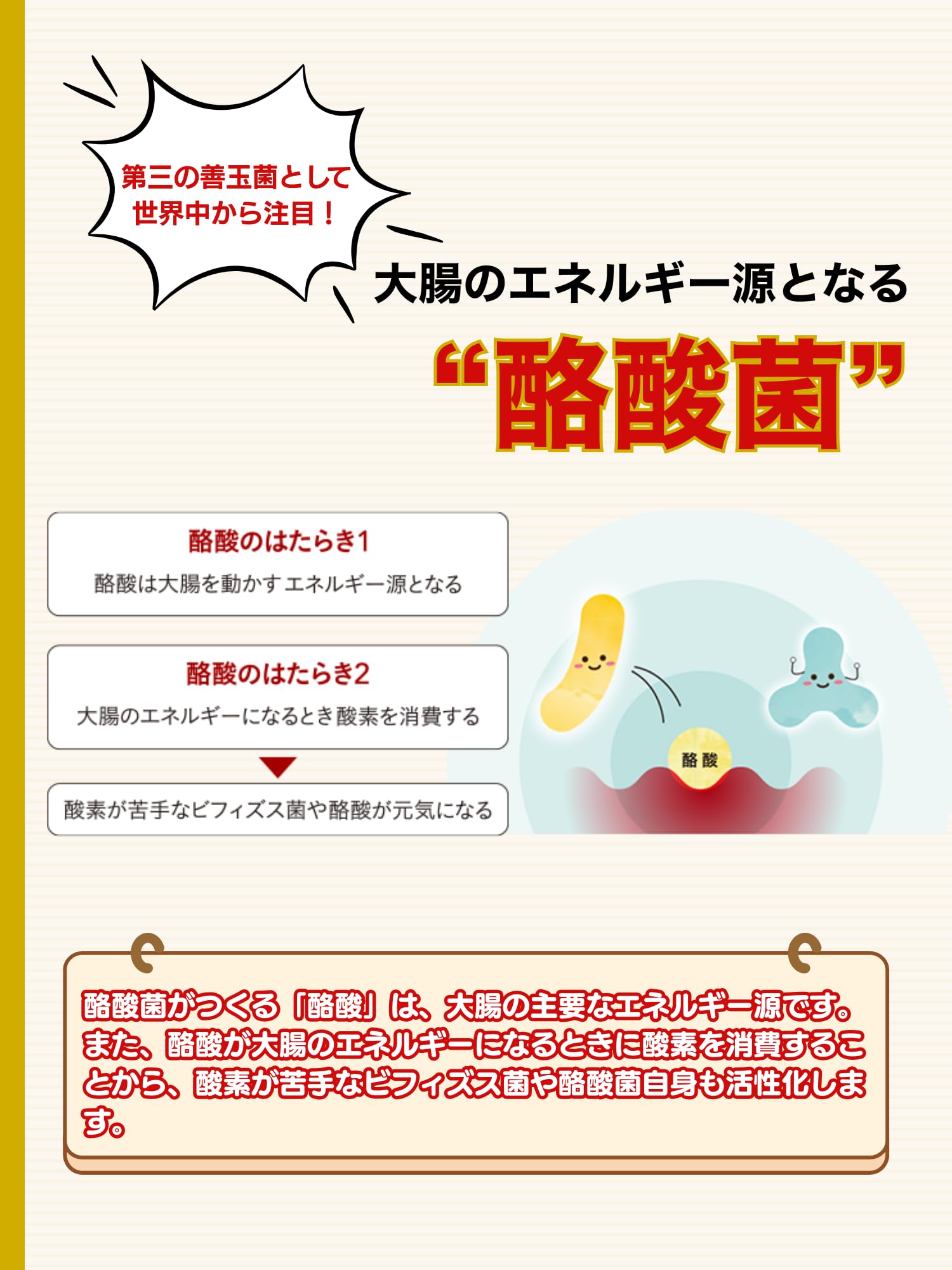 Amazon | ビフィコロン/トリプルアシスト/ビフィズス菌・乳酸菌・酪酸