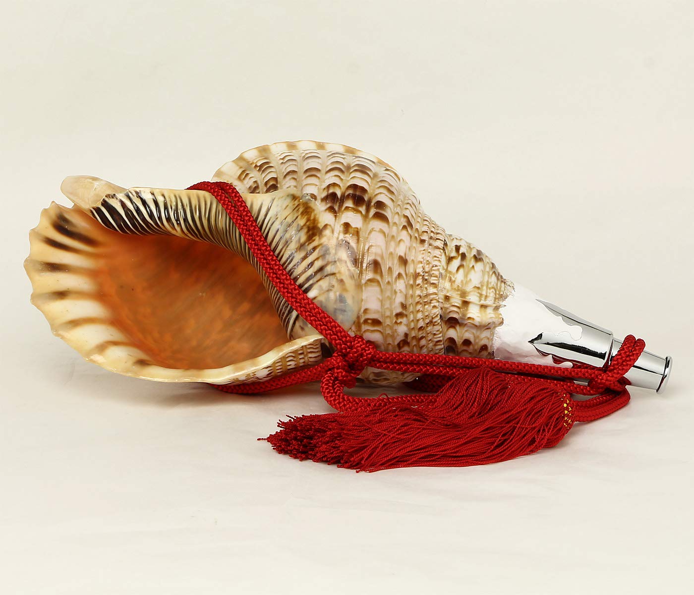 Amazon｜伊勢 - 宮忠 – 法螺貝 ほら貝 楽器 笛 歌口付き 真言宗タイプ