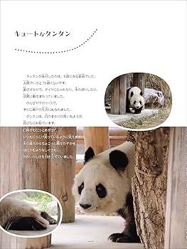 71Vh5NmZWoL._AC_UF350,