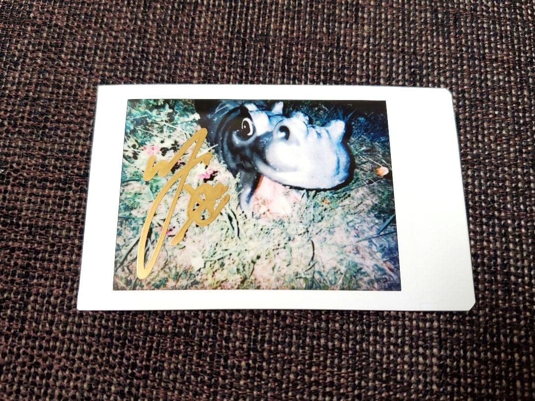 Amazon.co.jp: 期間限定Mrs. GREEN APPLE 直筆サイン チェキ 若井滉斗