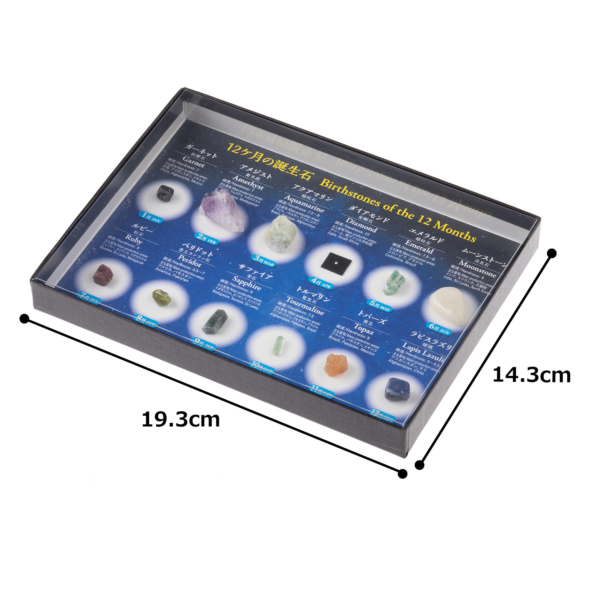Amazon | 大江理工社(Oherikosha) ブック型標本セット 誕生石宝石