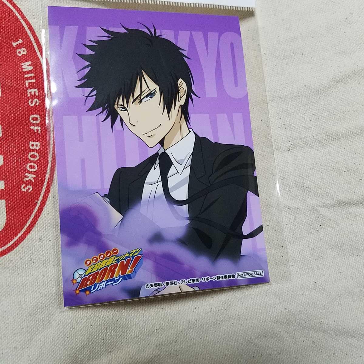 Amazon.co.jp: リボーン 雲雀恭弥 ブロマイド ダッシュストア 雲雀 恭