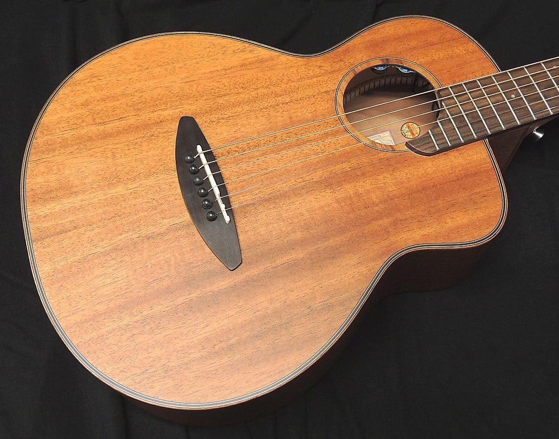 Amazon | aNueNue Bird Guitar aNN-M20E Solid Mahogany Top