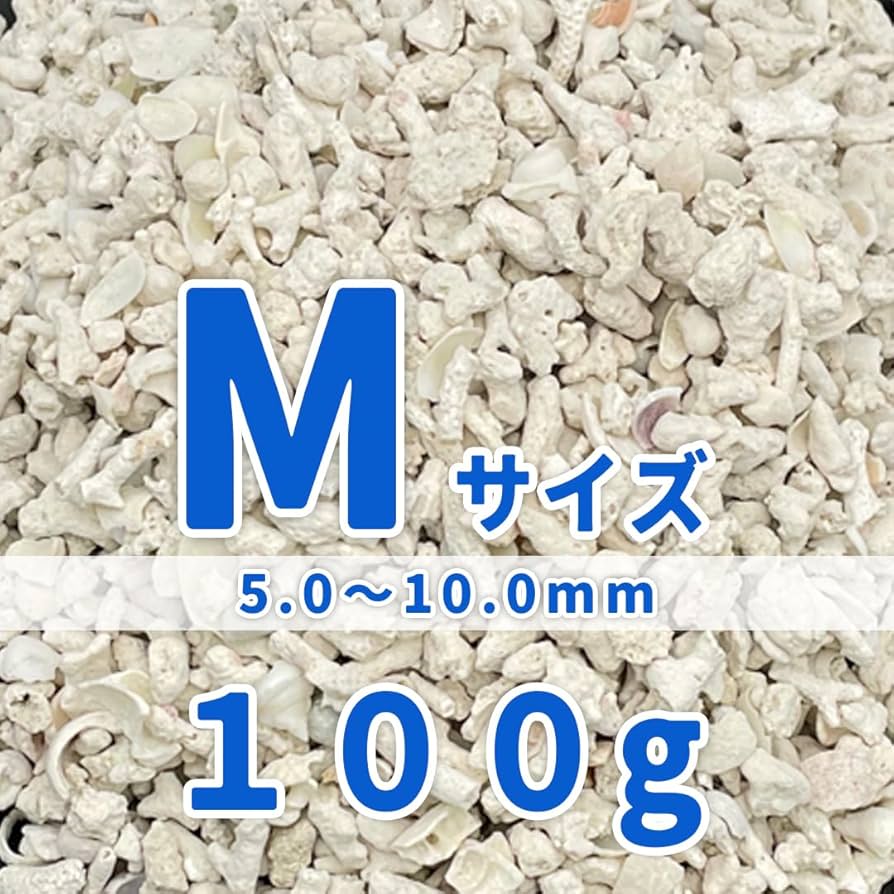 Amazon | パラオ産 サンゴ砂 パラワンサンド 【Mサイズ 100g