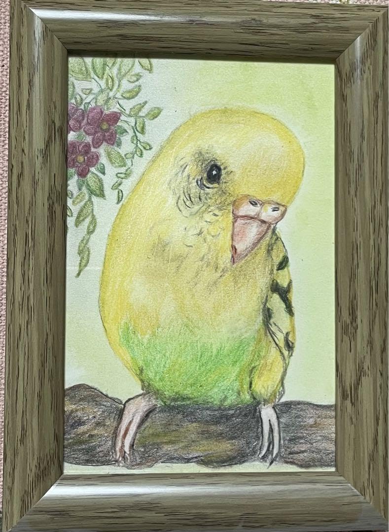 Amazon.co.jp: 色鉛筆画 リアル可愛いセキセイインコ色鉛筆画 原画