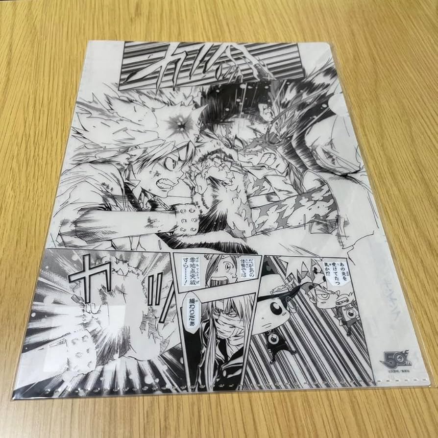 Amazon.co.jp: reborn リボーン ツナ ザンザス 沢田綱吉 xanxus 原画