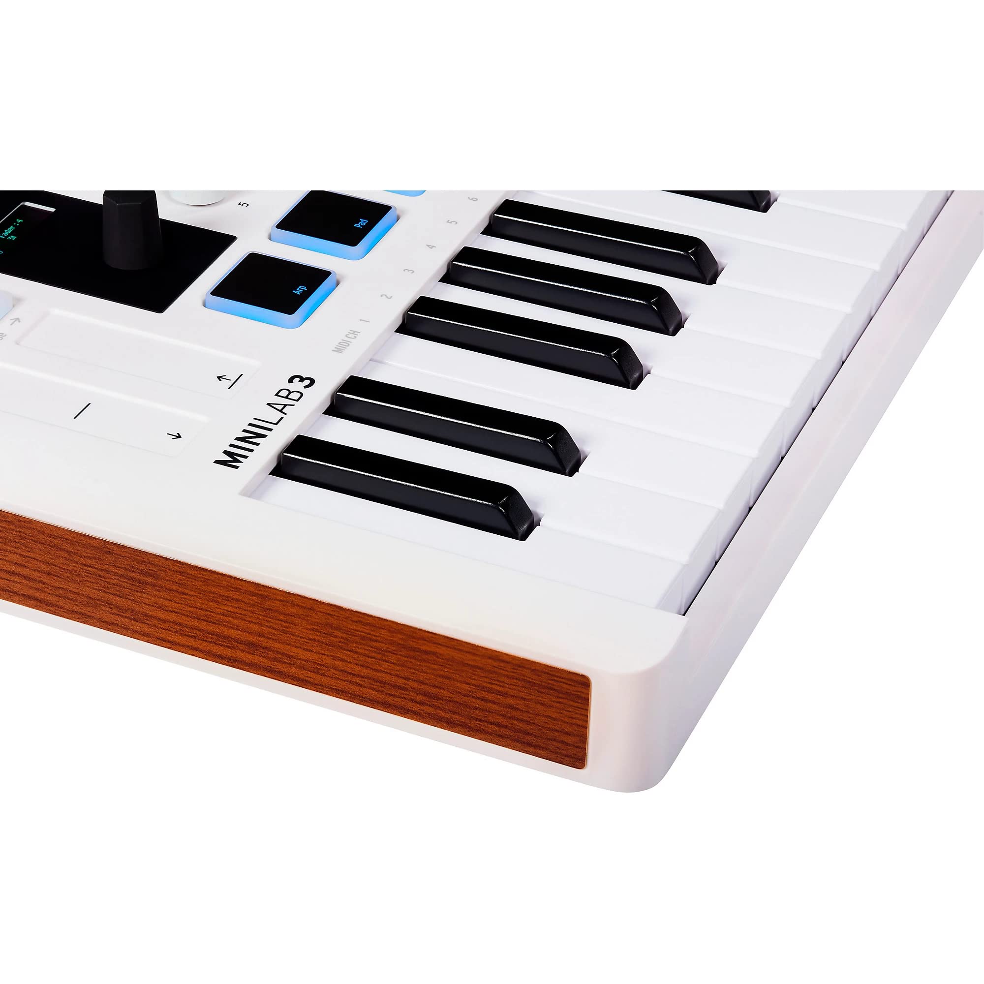 Amazon | Liquid Audio Arturia MiniLab 3 MIDIキーボード
