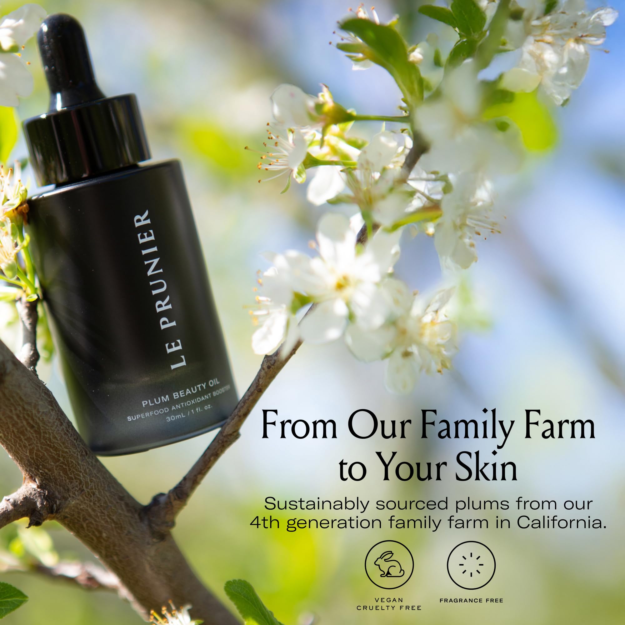 Amazon.com: Le Prunier Plum Beauty Oil – Superfood Antioxidant
