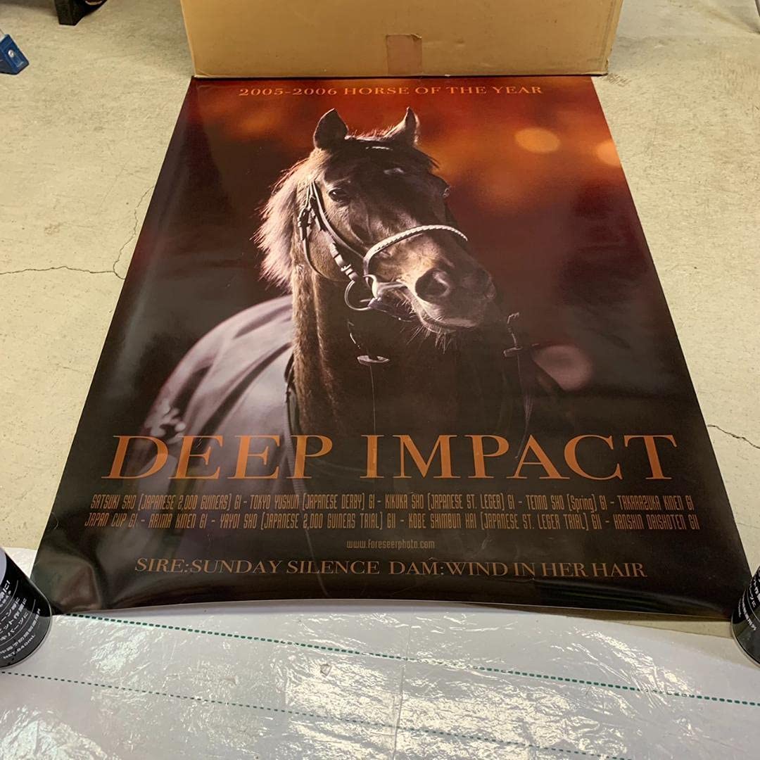 Amazon.co.jp: 競馬 ディープインパクト DEEP IMPACT JRA ポスター A1