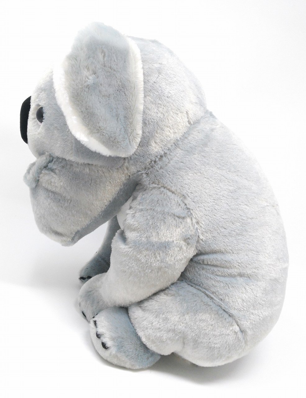 Amazon.co.jp: シャクレルプラネット コアラ BIG 40cm ぬいぐるみ