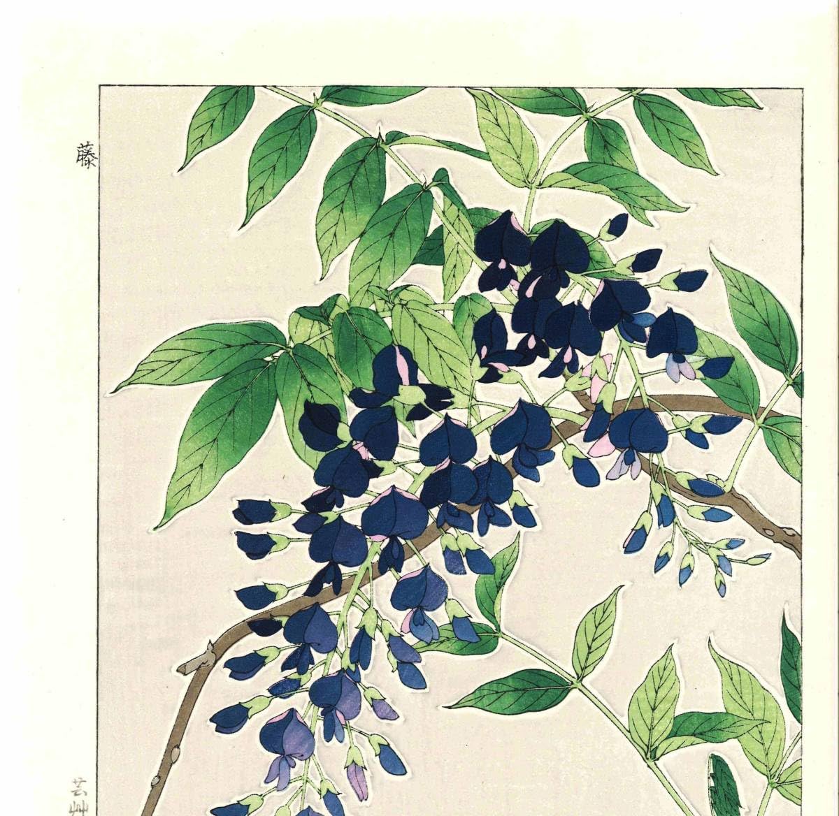 Amazon.co.jp: 額装 河原崎奨堂（18891973） 木版画 F113 藤 花版画