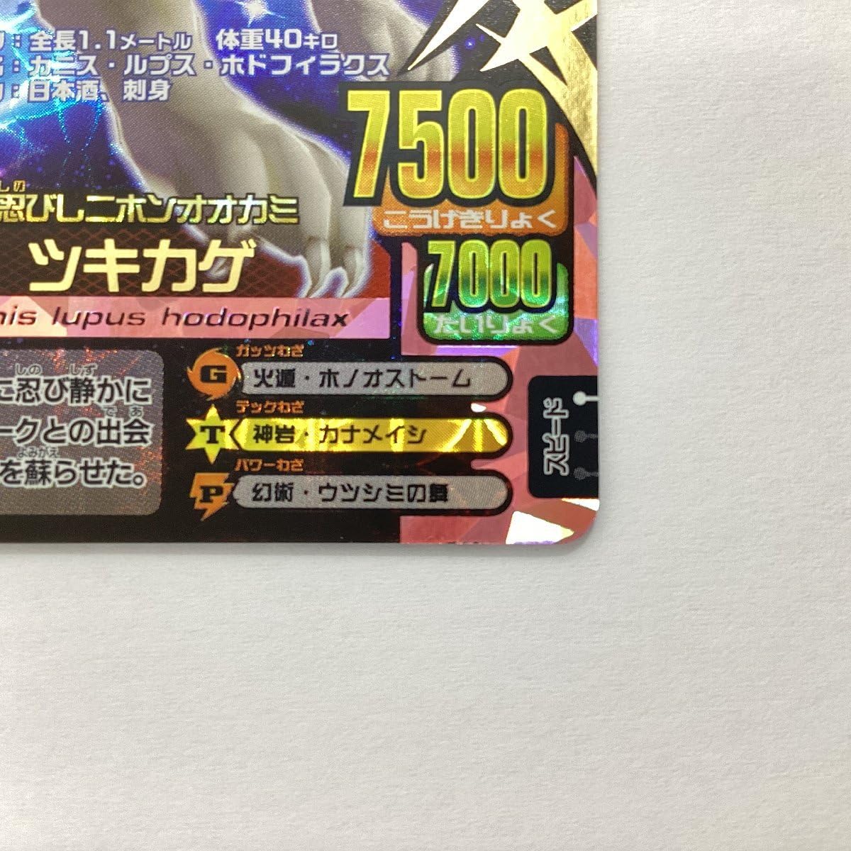 Amazon.co.jp: 百獣大戦 アニマルカイザー 第14弾 A-145 忍びし