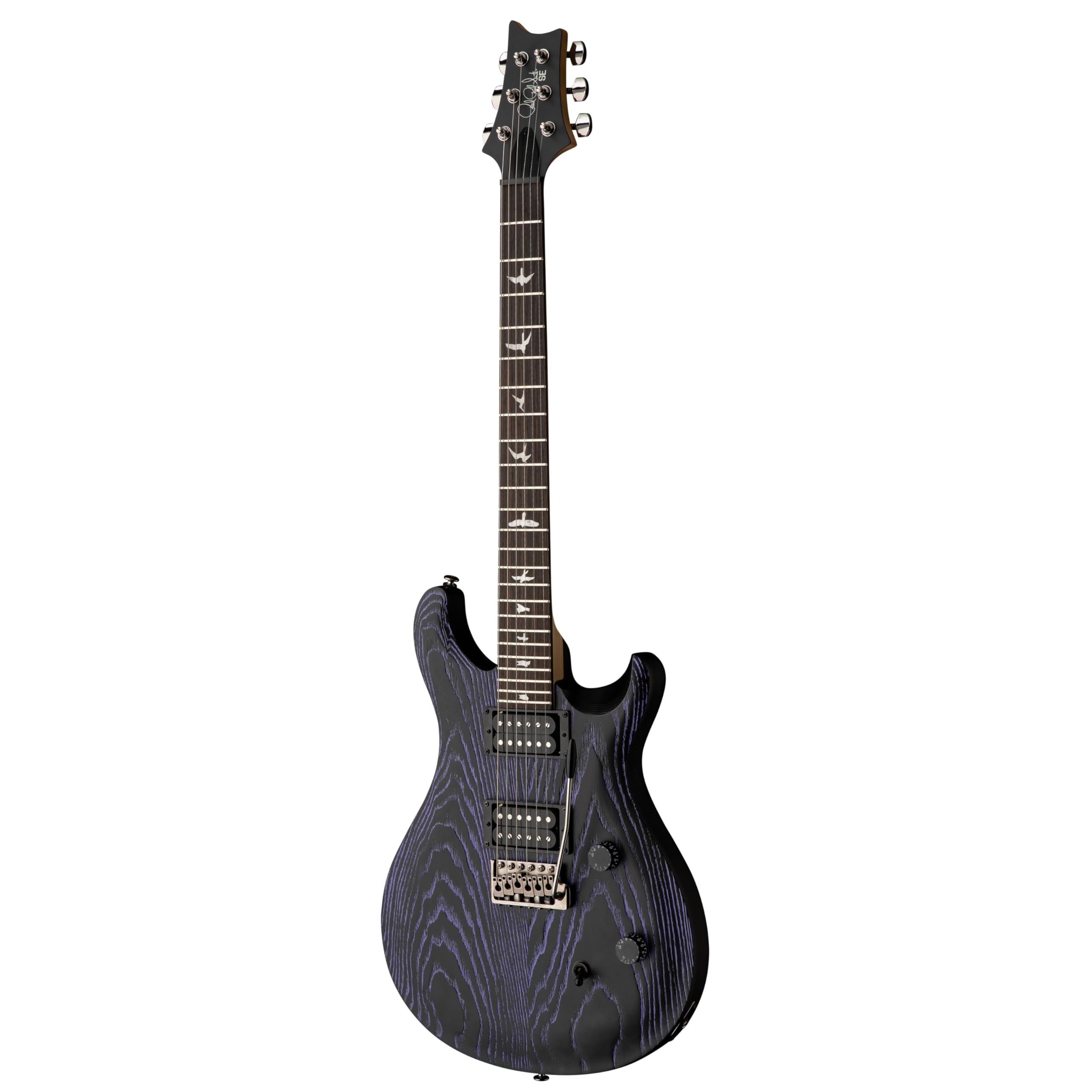 Amazon | PRS SE Swanp Ash CE24 Sandblasted Purple ポールリード