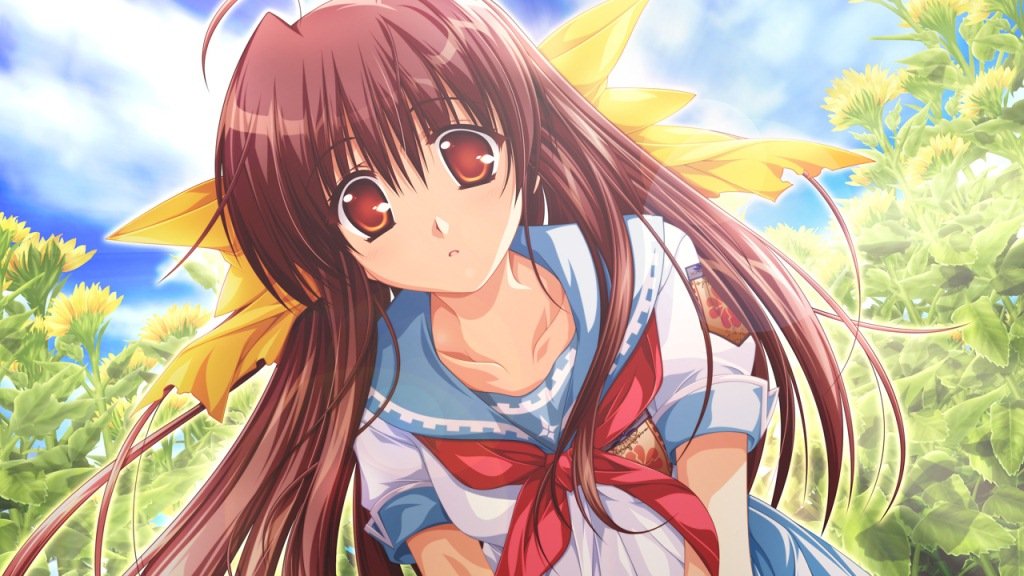 Amazon.co.jp: 車輪の国、向日葵の少女(限定版) - PSP : ゲーム